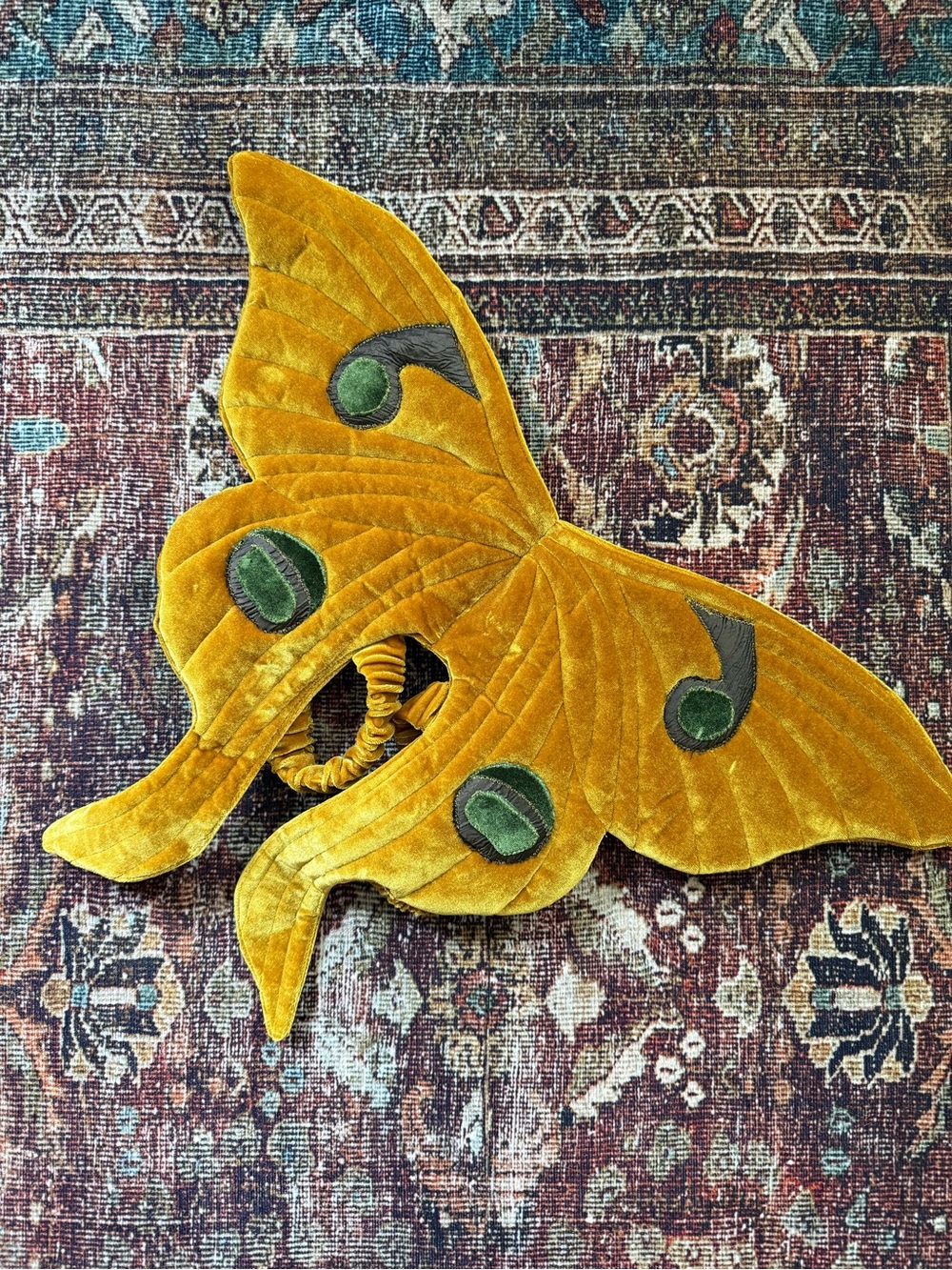 Moth velvet wings costume
